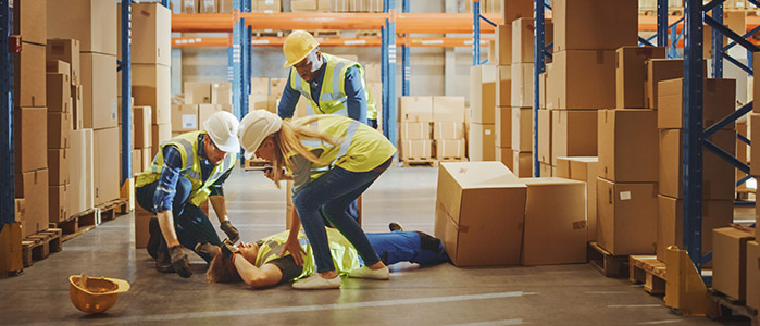 geoconcept09 geoconcept09